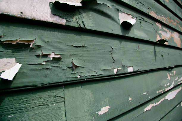 Best Siding Painting and Refinishing  in Bryant, WA